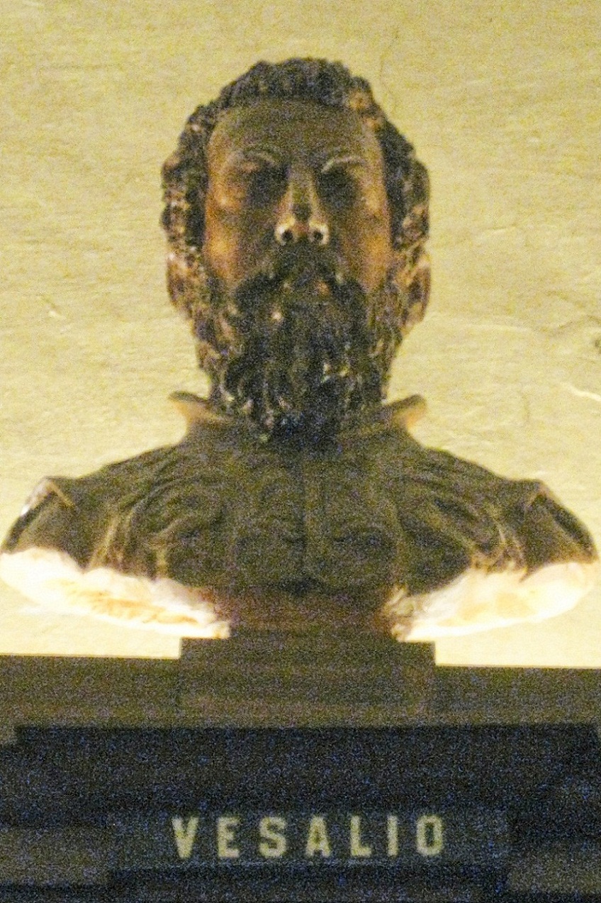The library of Accademia Lancisiana  (1).jpg
